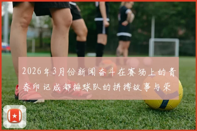 2026年3月份新闻奋斗在赛场上的青春印记成都排球队的拼搏故事与荣耀之路